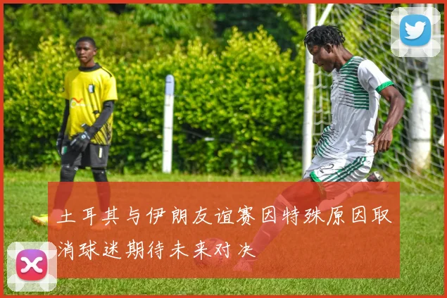 土耳其与伊朗友谊赛因特殊原因取消球迷期待未来对决
